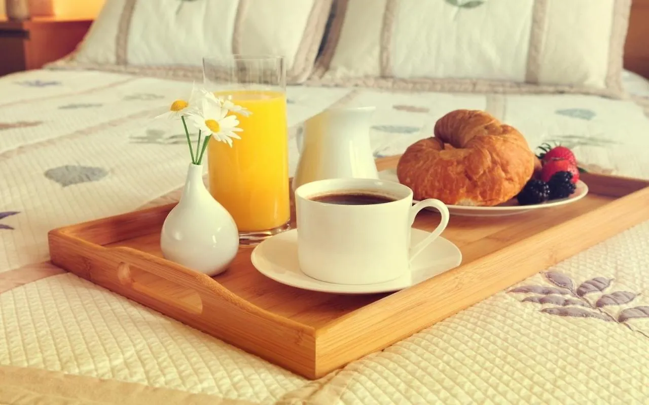 Apartment Nyvky Like Home - Studio - Apt 21 Kyiv